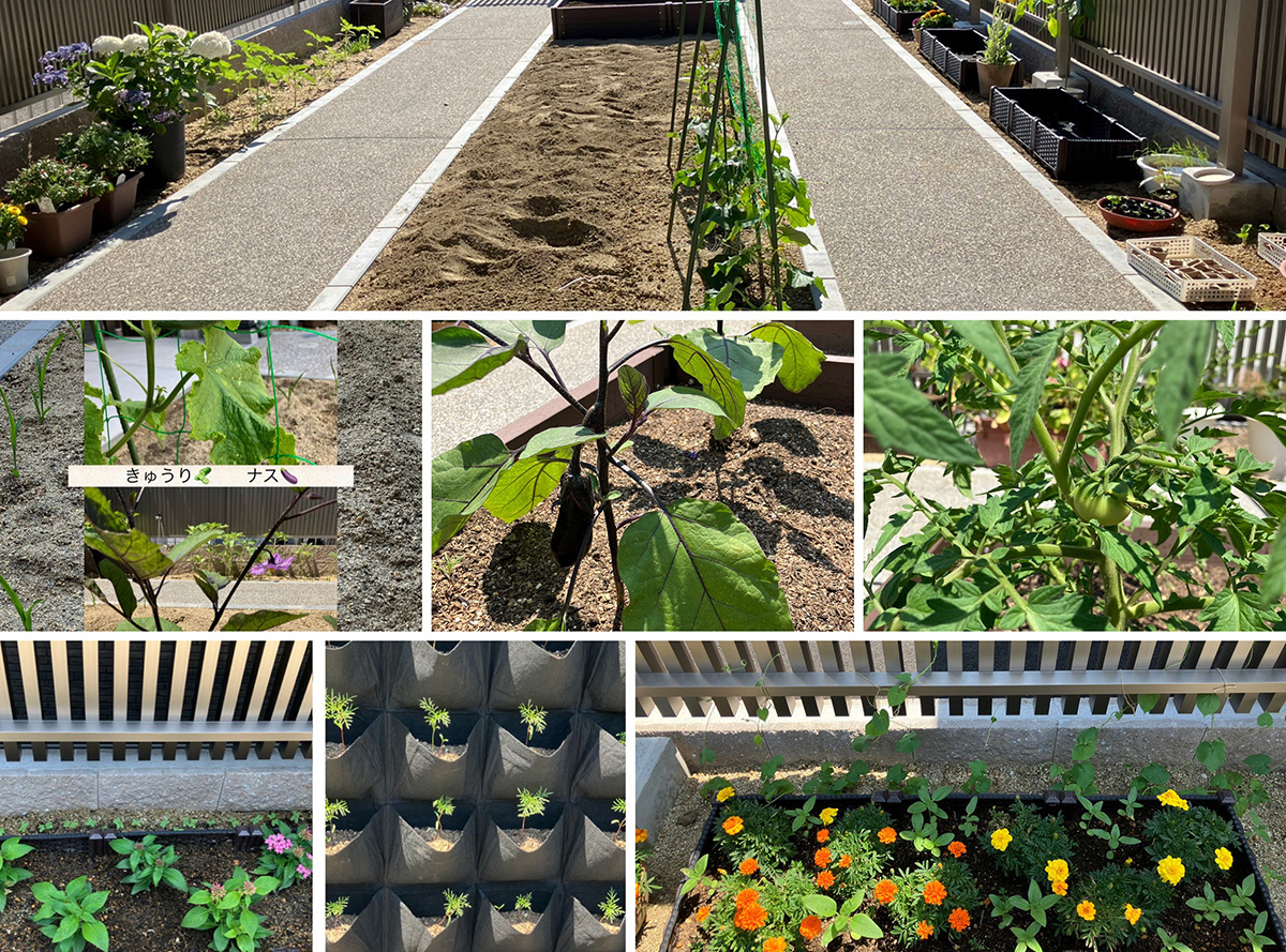 リラガーデンの庭