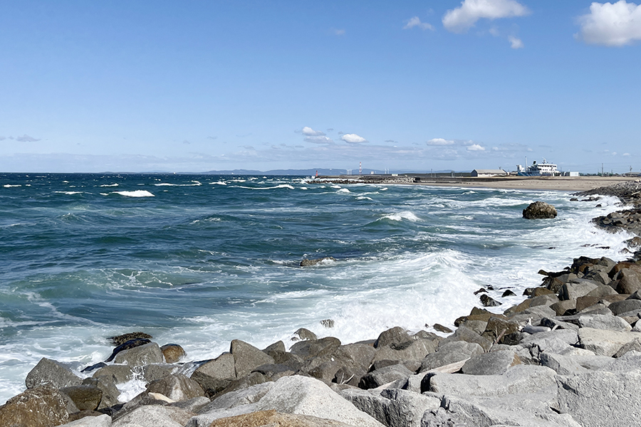強風で波打つ海